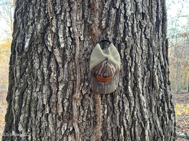 $465,500 | Perry Creek Road, Bentonia, MS 39040