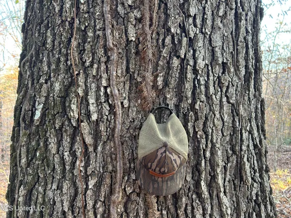 $465,500 | Perry Creek Road, Bentonia, MS 39040