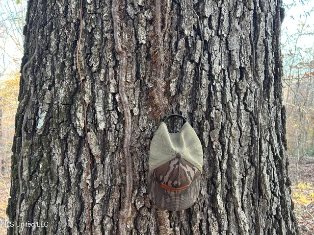 $465,500 | Perry Creek Road, Bentonia, MS 39040