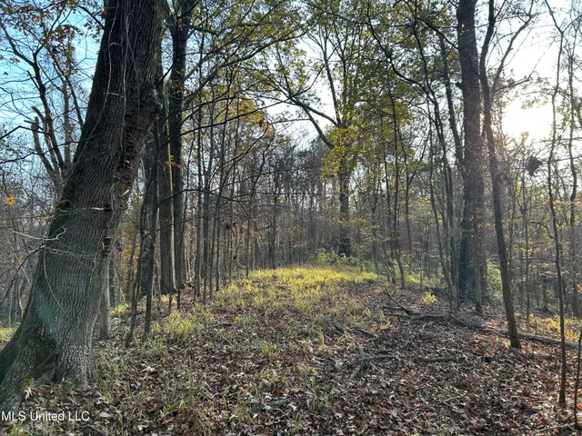 $465,500 | Perry Creek Road, Bentonia, MS 39040