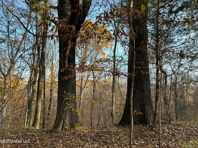 $465,500 | Perry Creek Road, Bentonia, MS 39040