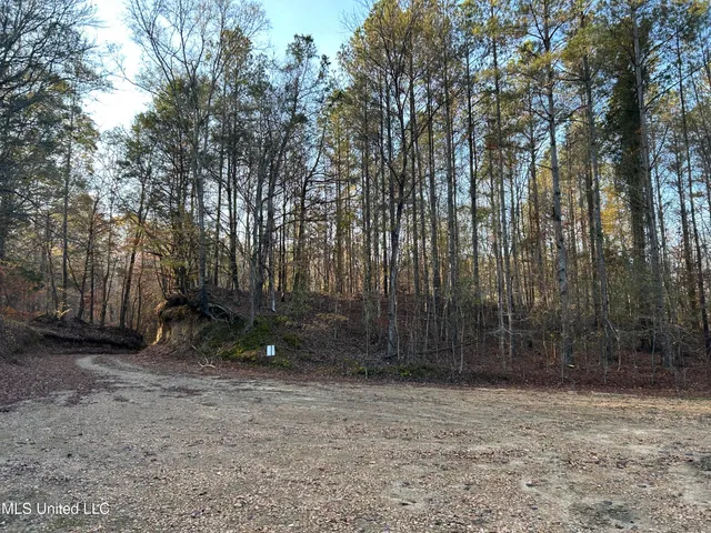 $465,500 | Perry Creek Road, Bentonia, MS 39040