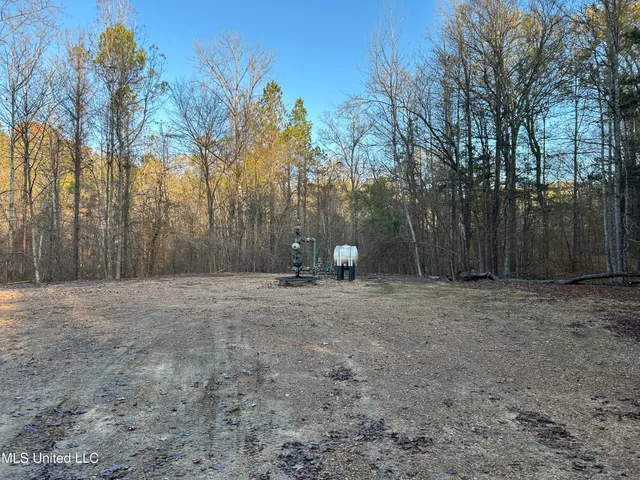 $465,500 | Perry Creek Road, Bentonia, MS 39040