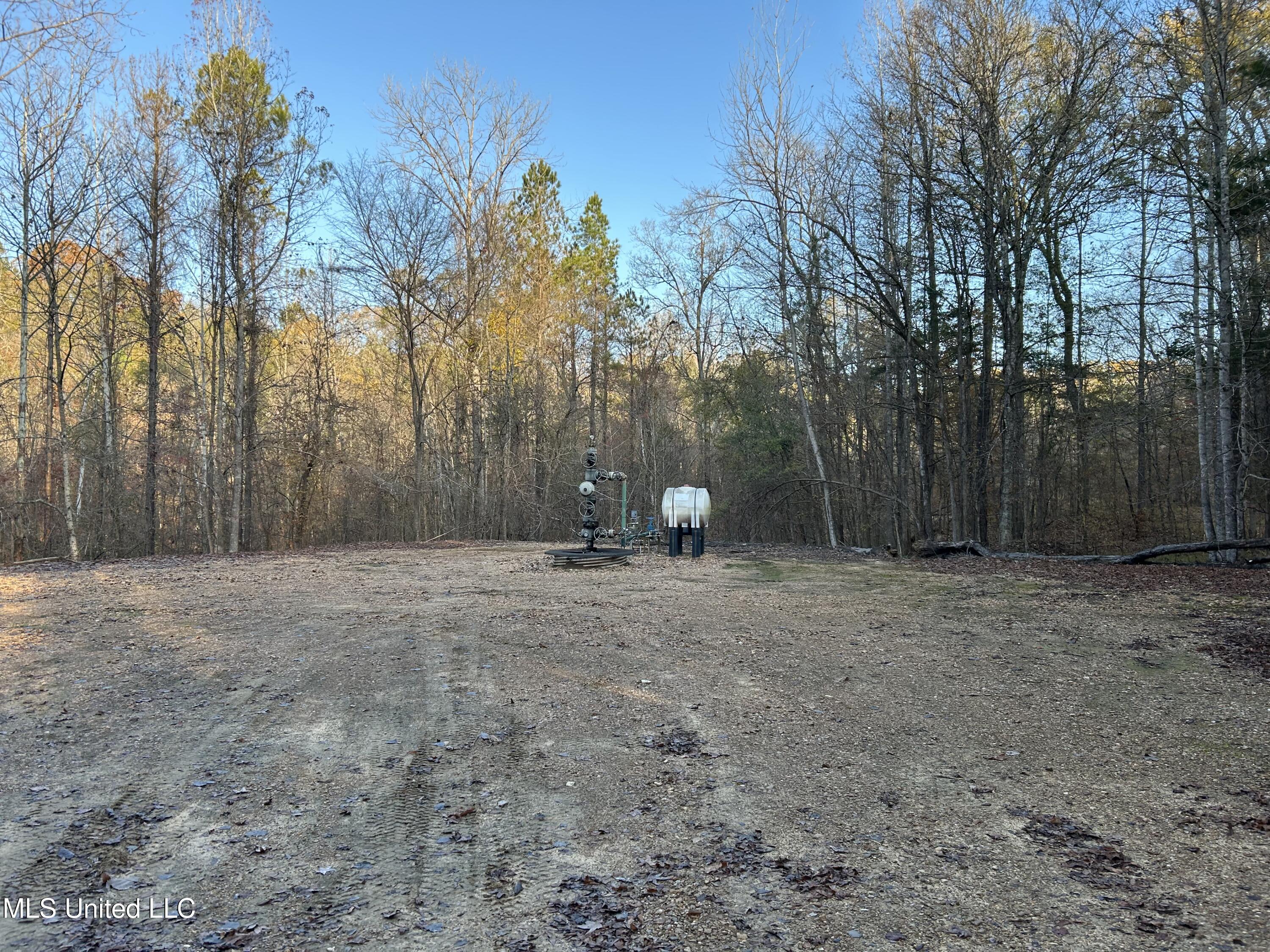 Perry Creek Road Bentonia, MS 39040 - Photo 49 of 70 Photo Dec 12 2025, 8 18 11 AM