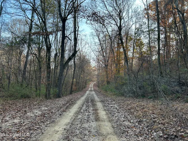 $465,500 | Perry Creek Road, Bentonia, MS 39040