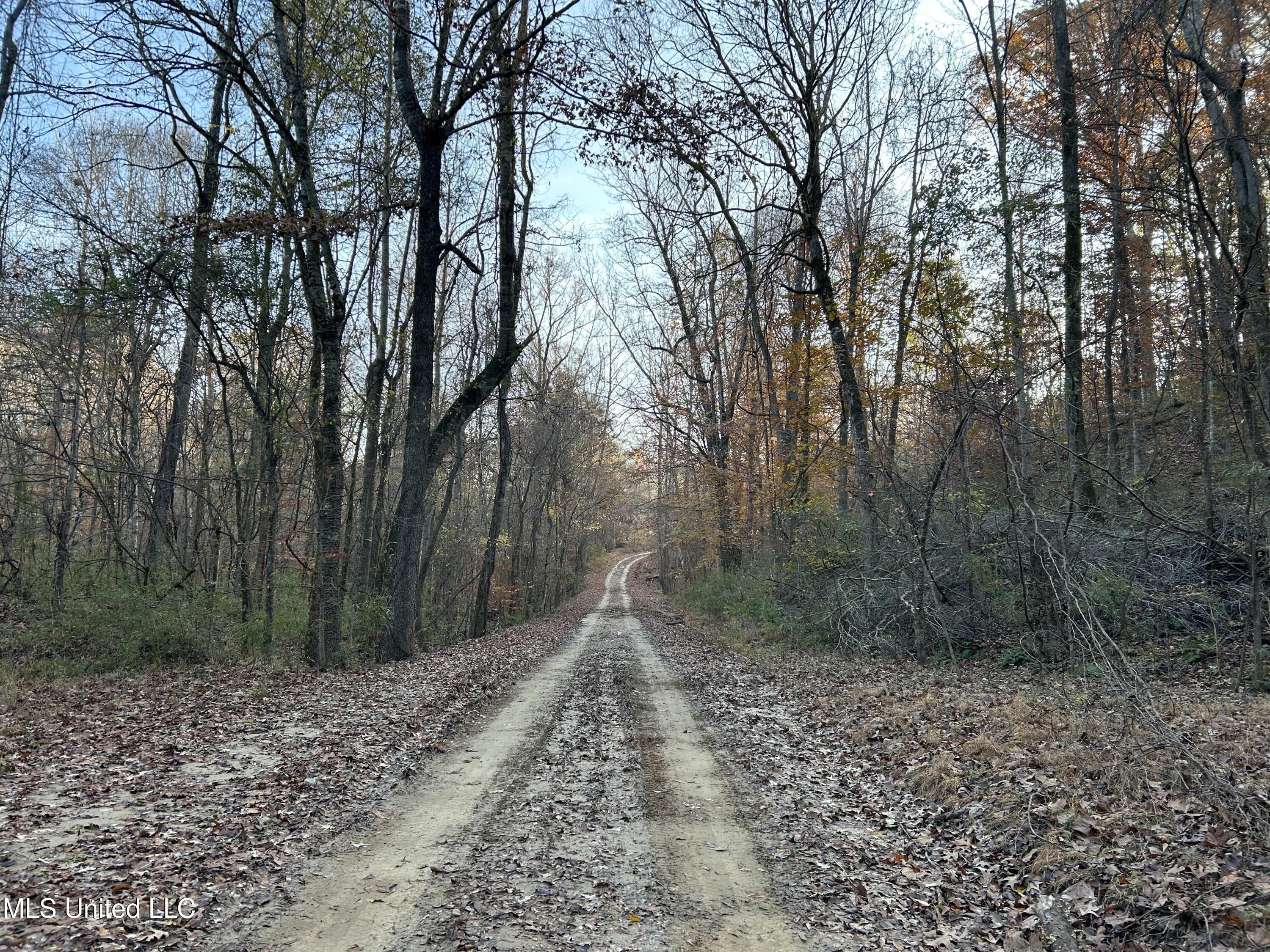 Perry Creek Road Bentonia, MS 39040 - Photo 50 of 70 Photo Dec 12 2025, 8 18 49 AM
