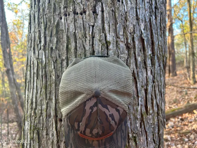 $465,500 | Perry Creek Road, Bentonia, MS 39040