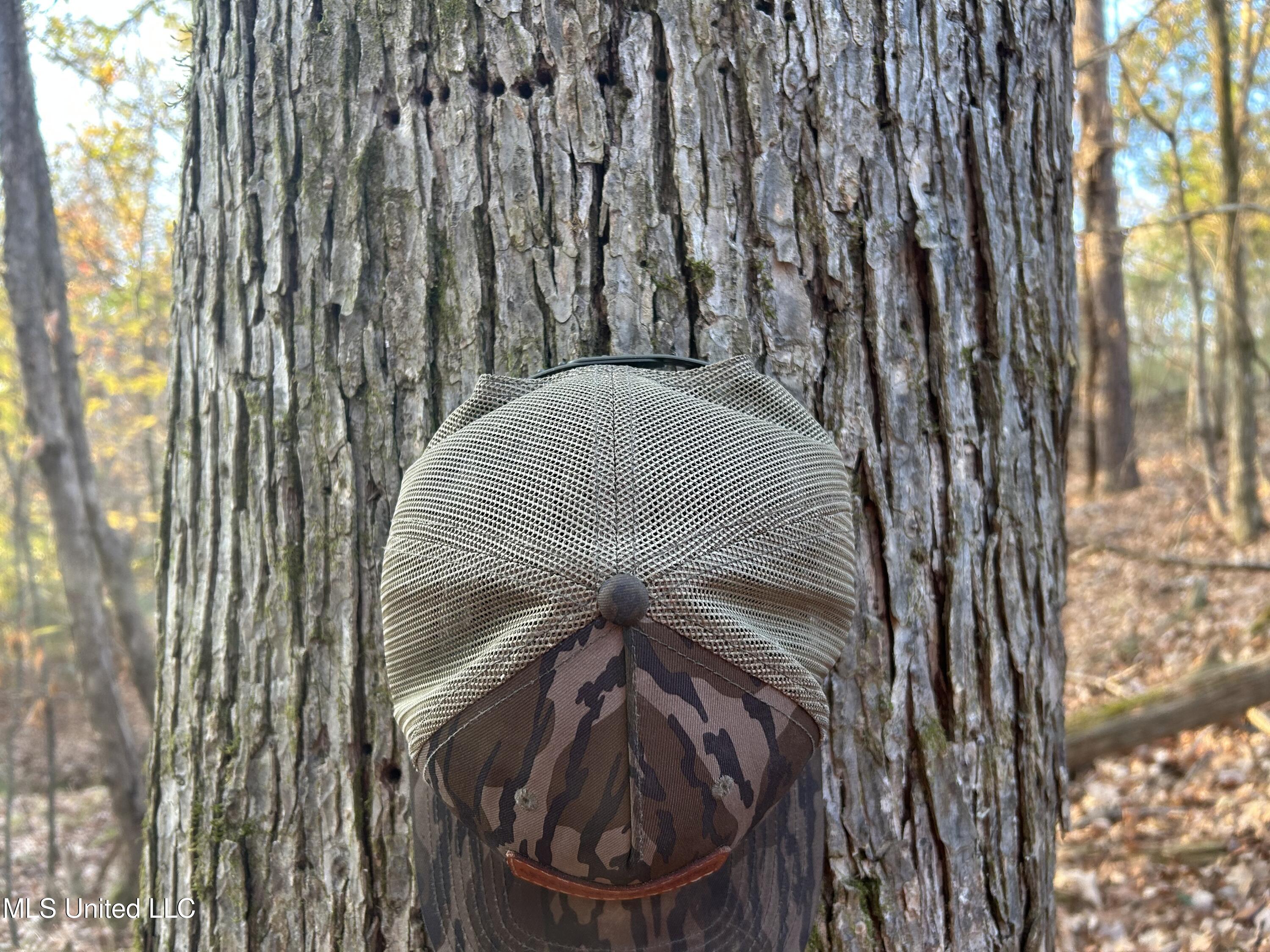 Perry Creek Road Bentonia, MS 39040 - Photo 5 of 70 Photo Dec 12 2025, 7 35 35 AM