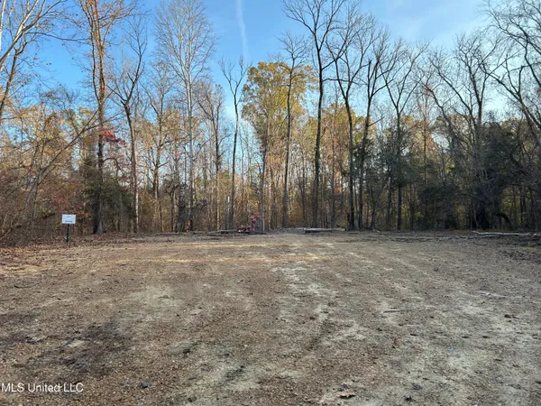$465,500 | Perry Creek Road, Bentonia, MS 39040