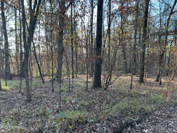 $465,500 | Perry Creek Road, Bentonia, MS 39040