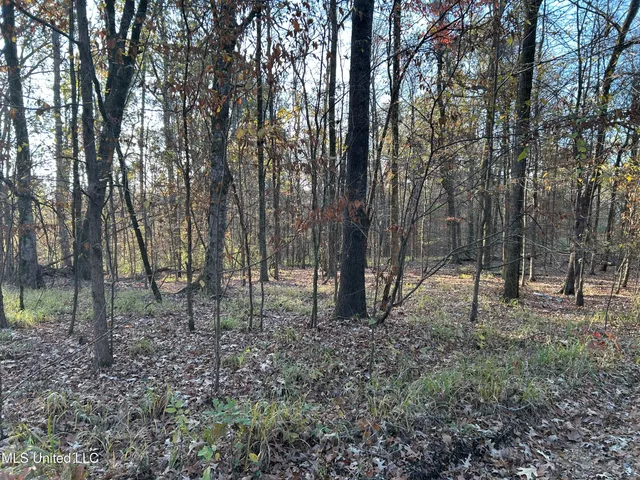 $465,500 | Perry Creek Road, Bentonia, MS 39040