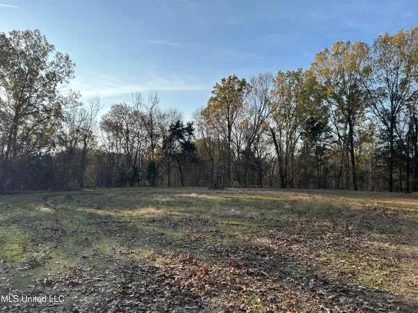 $465,500 | Perry Creek Road, Bentonia, MS 39040
