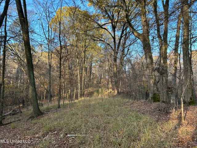 $465,500 | Perry Creek Road, Bentonia, MS 39040