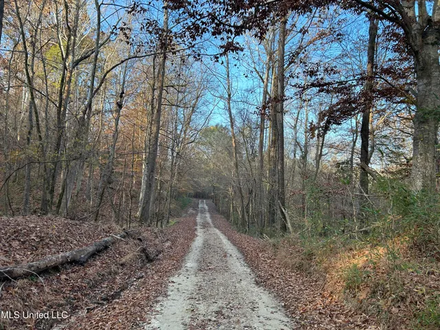 $465,500 | Perry Creek Road, Bentonia, MS 39040