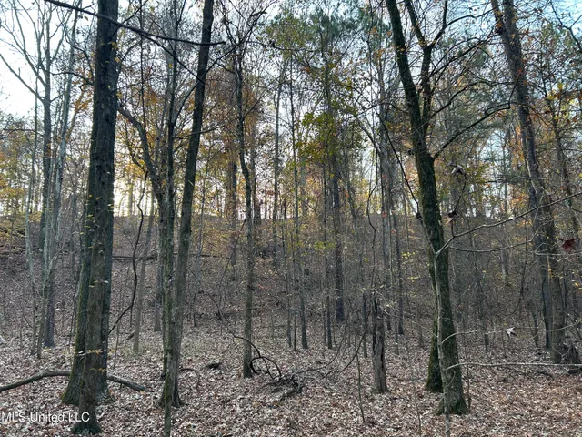 $465,500 | Perry Creek Road, Bentonia, MS 39040