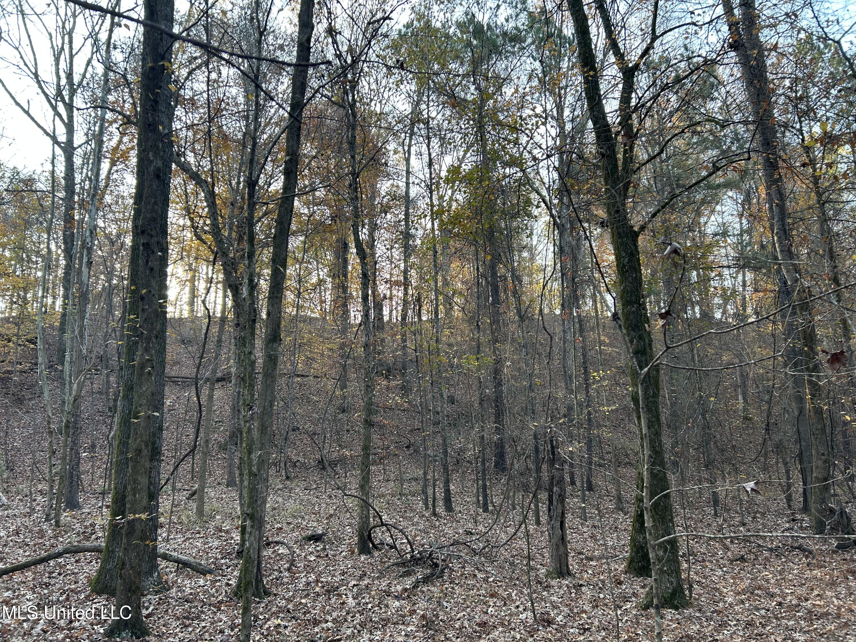 Perry Creek Road Bentonia, MS 39040 - Photo 56 of 70 Photo Dec 12 2025, 8 23 40 AM