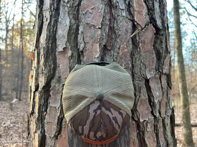 $465,500 | Perry Creek Road, Bentonia, MS 39040