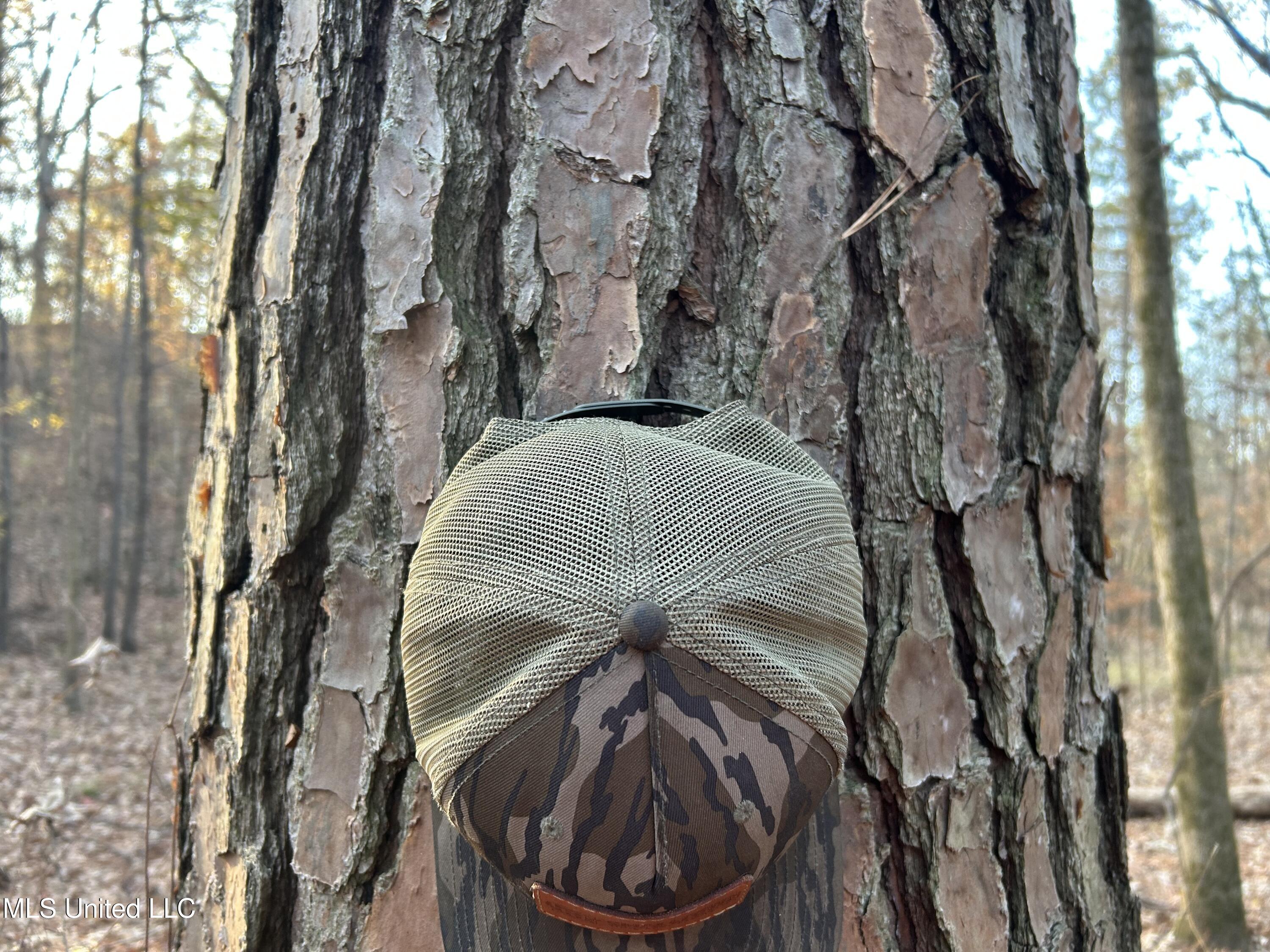 Perry Creek Road Bentonia, MS 39040 - Photo 57 of 70 Photo Dec 12 2025, 8 23 49 AM