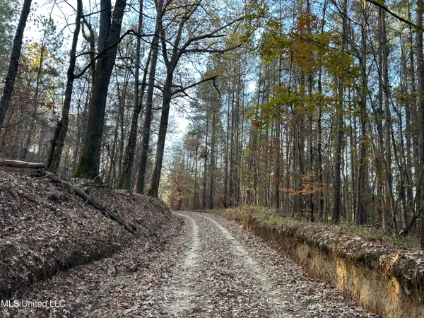 $465,500 | Perry Creek Road, Bentonia, MS 39040