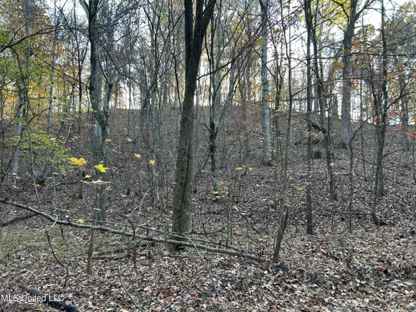 $465,500 | Perry Creek Road, Bentonia, MS 39040