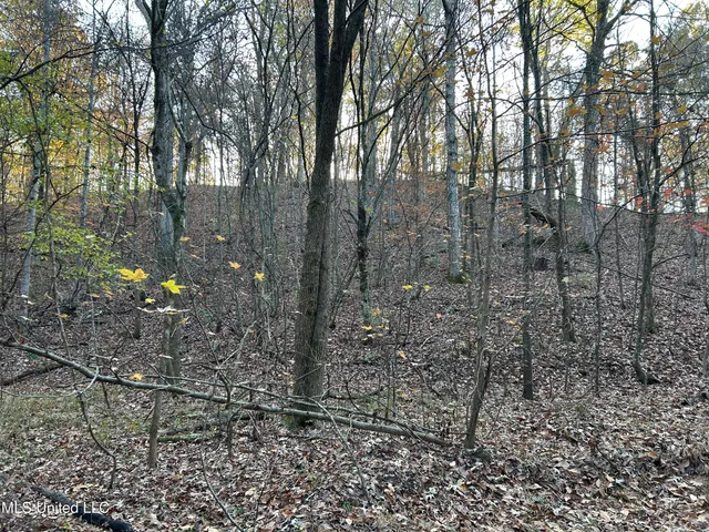 $465,500 | Perry Creek Road, Bentonia, MS 39040