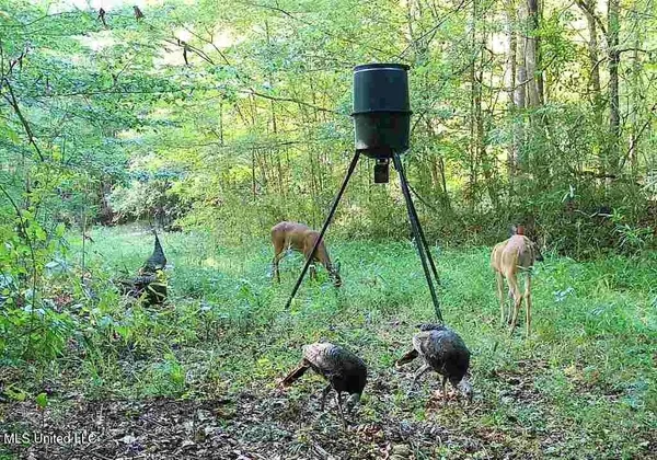 $465,500 | Perry Creek Road, Bentonia, MS 39040