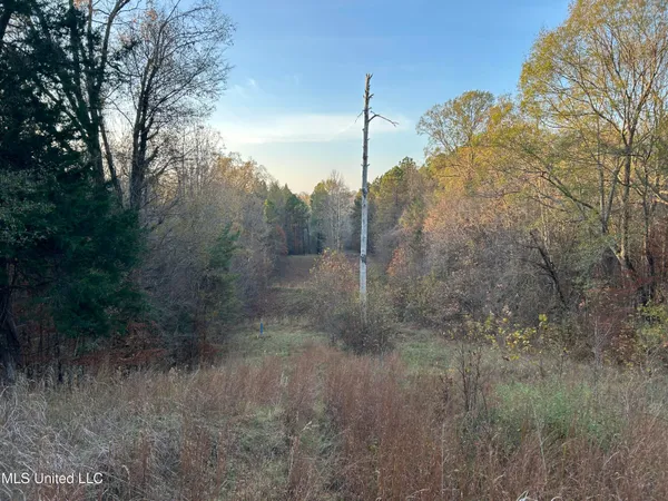 $465,500 | Perry Creek Road, Bentonia, MS 39040