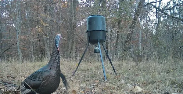 $465,500 | Perry Creek Road, Bentonia, MS 39040