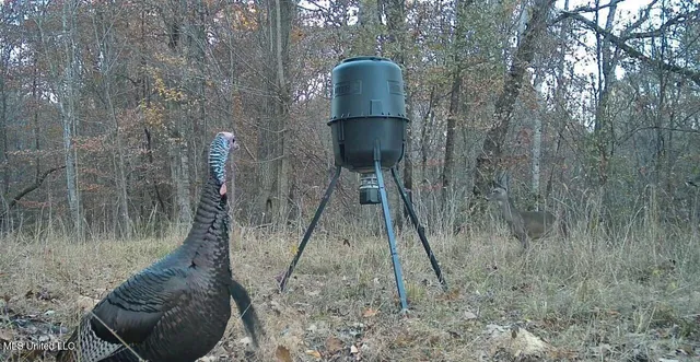 $465,500 | Perry Creek Road, Bentonia, MS 39040