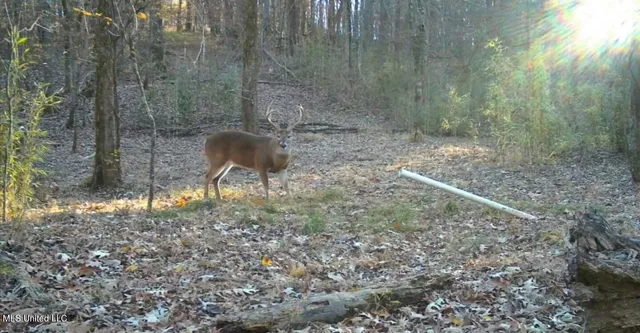 $465,500 | Perry Creek Road, Bentonia, MS 39040