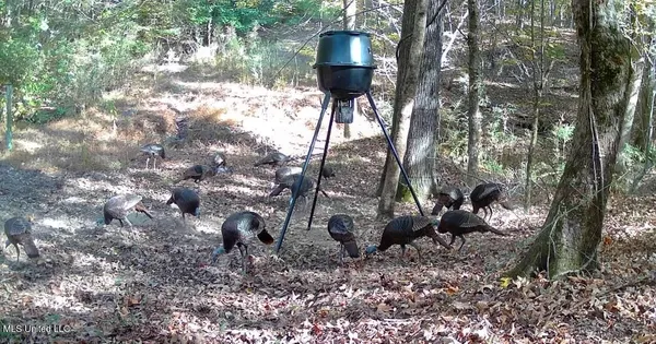 $465,500 | Perry Creek Road, Bentonia, MS 39040