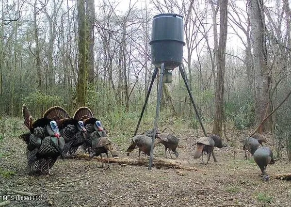 $465,500 | Perry Creek Road, Bentonia, MS 39040