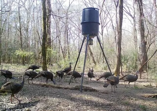 $465,500 | Perry Creek Road, Bentonia, MS 39040