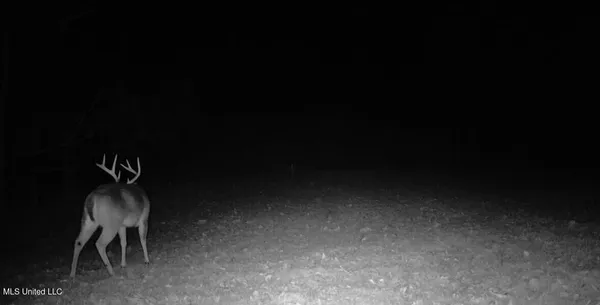 $465,500 | Perry Creek Road, Bentonia, MS 39040