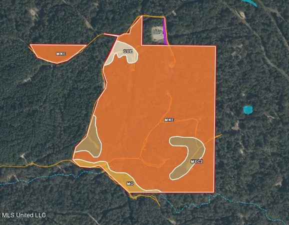 $465,500 | Perry Creek Road, Bentonia, MS 39040