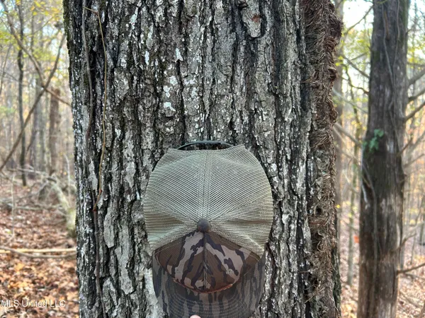 $465,500 | Perry Creek Road, Bentonia, MS 39040