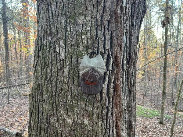 $465,500 | Perry Creek Road, Bentonia, MS 39040