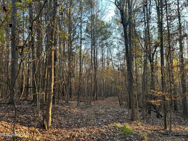 $465,500 | Perry Creek Road, Bentonia, MS 39040