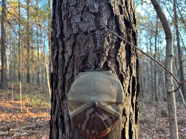 $465,500 | Perry Creek Road, Bentonia, MS 39040