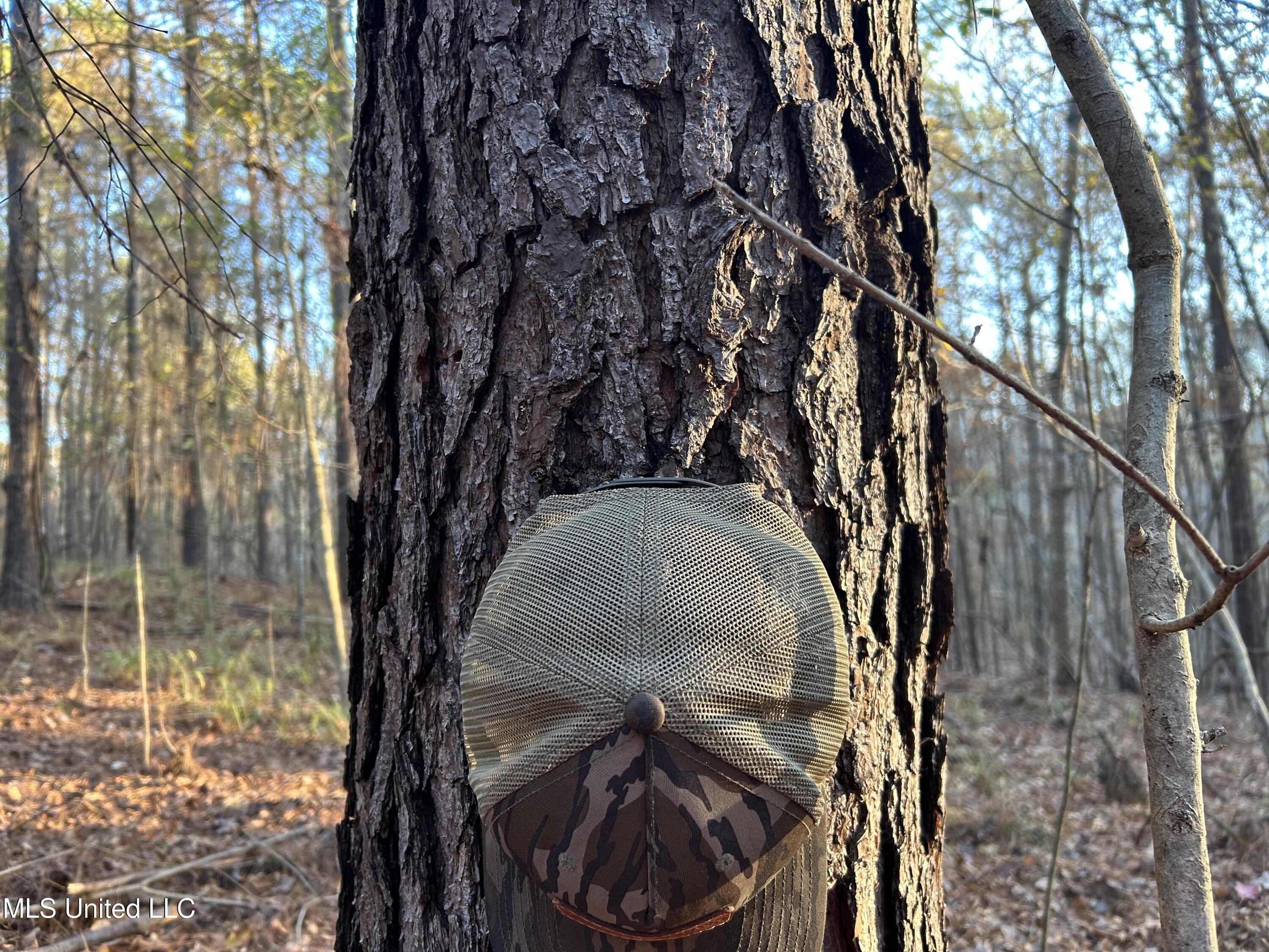 Perry Creek Road Bentonia, MS 39040 - Photo 10 of 70 Photo Dec 12 2025, 7 42 08 AM