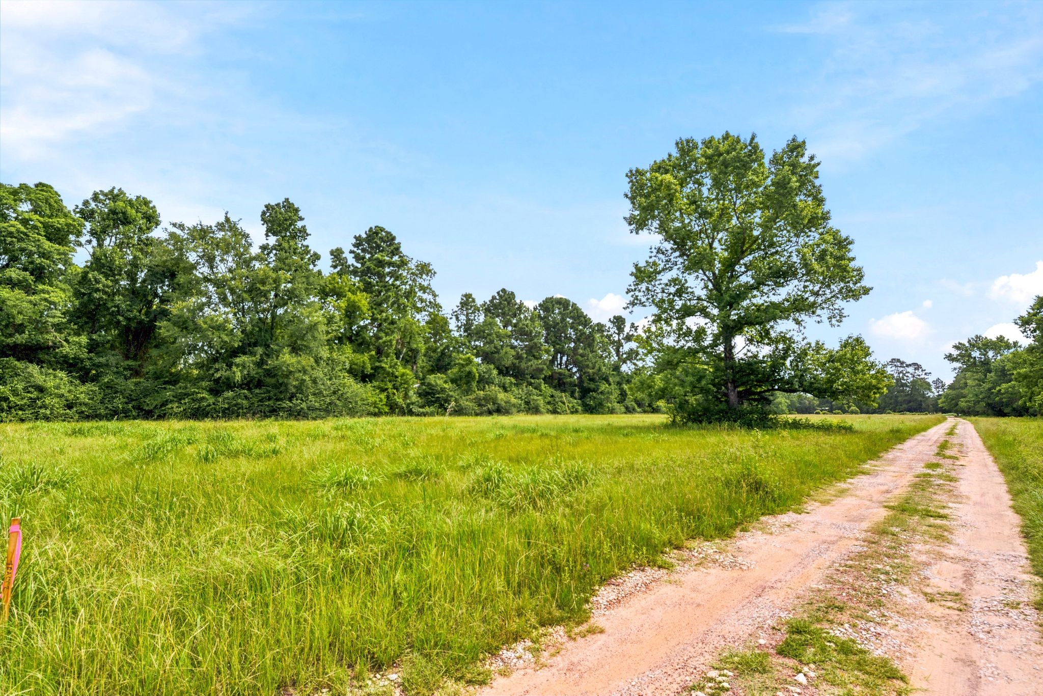 Lot 1 Mount Zion Road New Waverly, TX 77358 - Photo 14 of 33