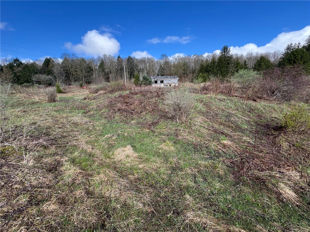 10233 Lamb Road Brookfield, NY 13485 - Photo 12 of 31
