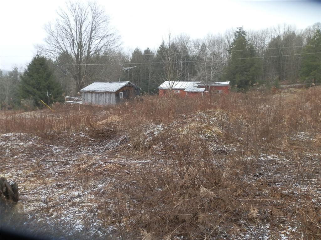 10233 Lamb Road Brookfield, NY 13485 - Photo 25 of 31
