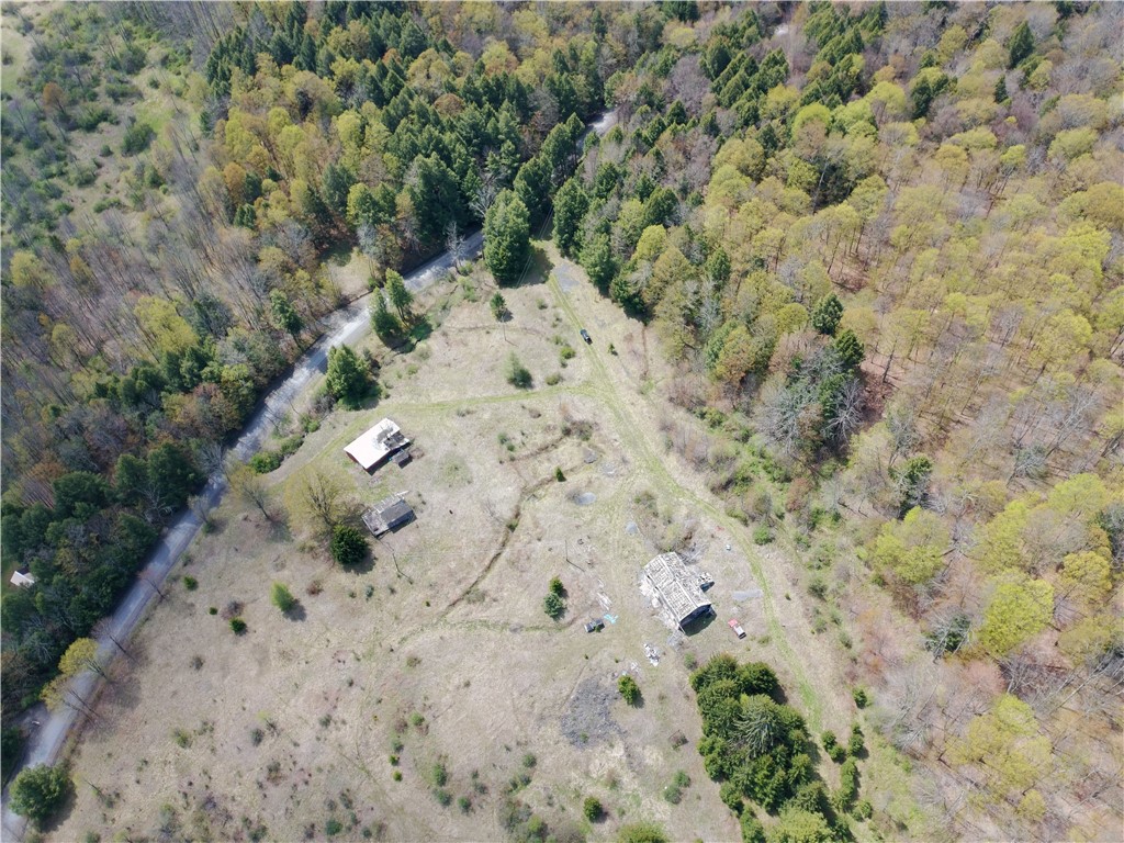 10233 Lamb Road Brookfield, NY 13485 - Photo 6 of 31