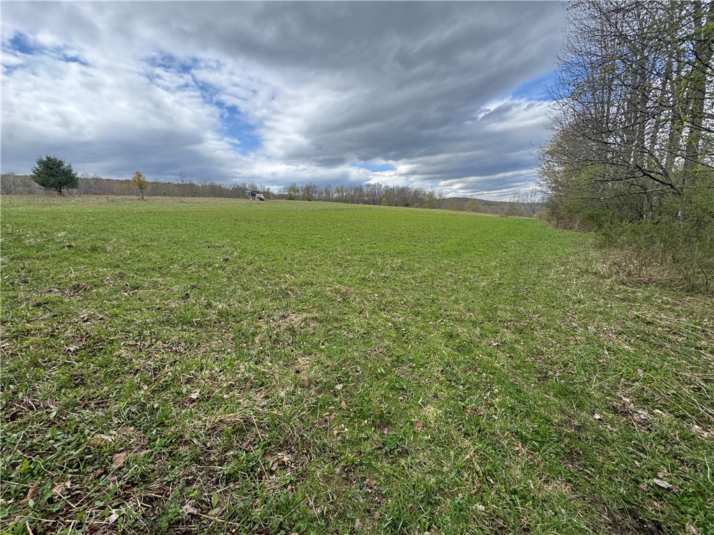 10233 Lamb Road Brookfield, NY 13485 - Photo 7 of 31