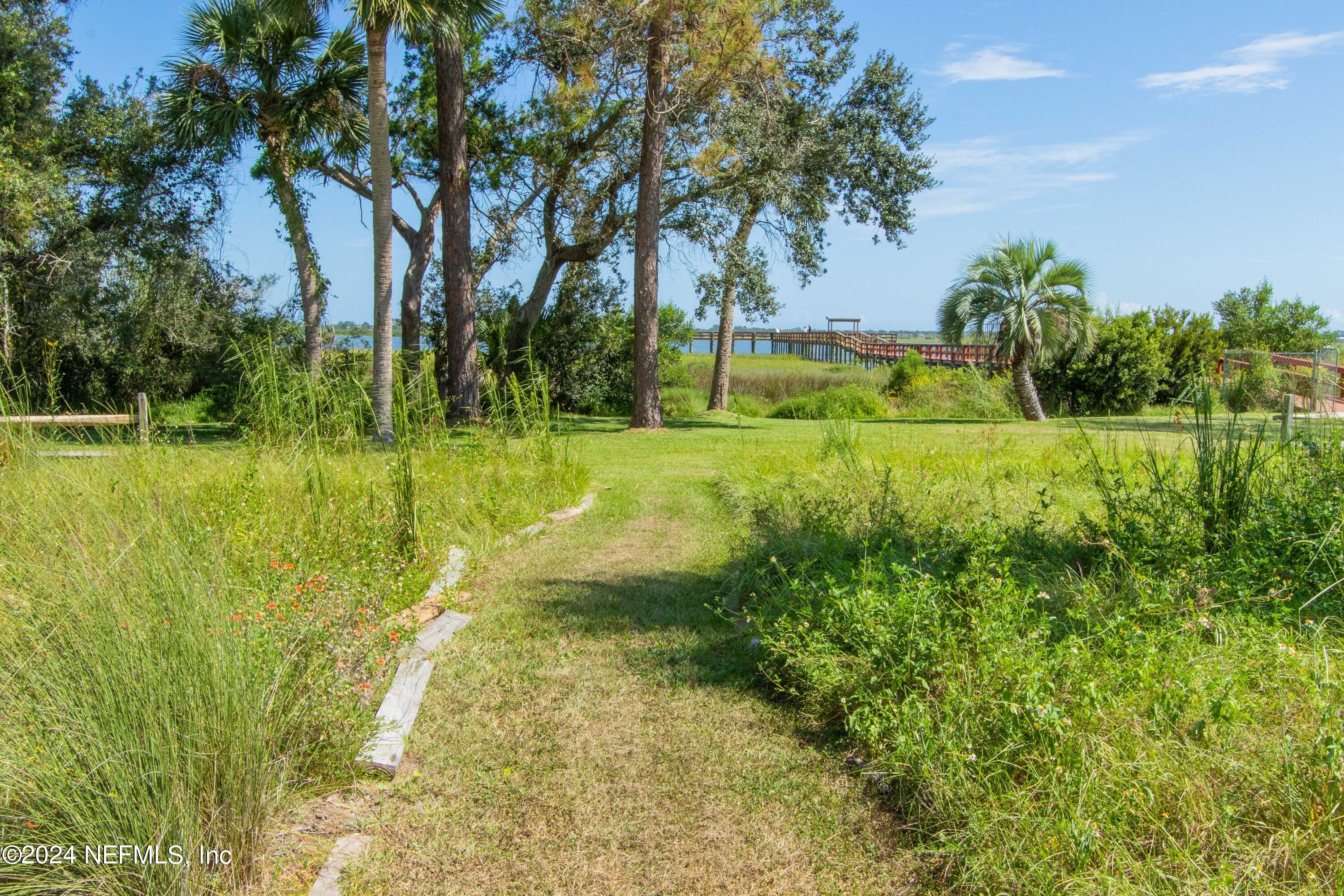 156 Cacique Drive St. Augustine, FL 32086 - Photo 67 of 68 a view of a big yard with large trees