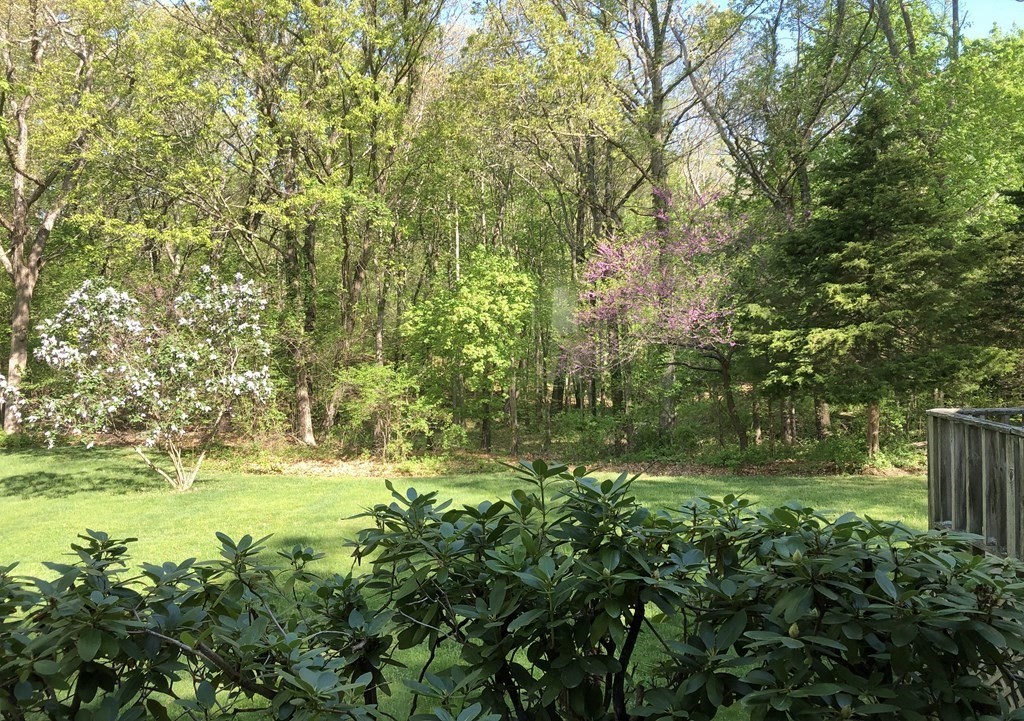 115 Dalton Road Holliston, MA 01746 - Photo 8 of 42 Gallery Image 8