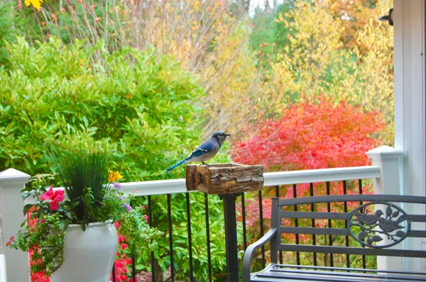 $847,222 | 48 Kingsley Farm Road, Gouldsboro, ME 04607