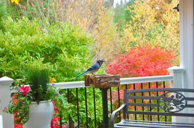 $922,200 | 48 Kingsley Farm Road, Gouldsboro, ME 04607