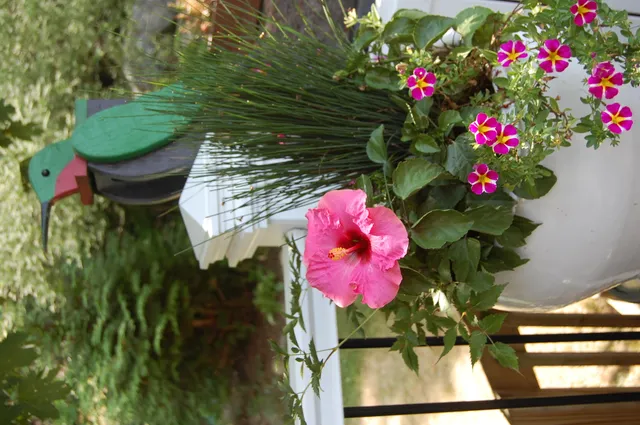 $982,200 | 48 Kingsley Farm Road, Gouldsboro, ME 04607